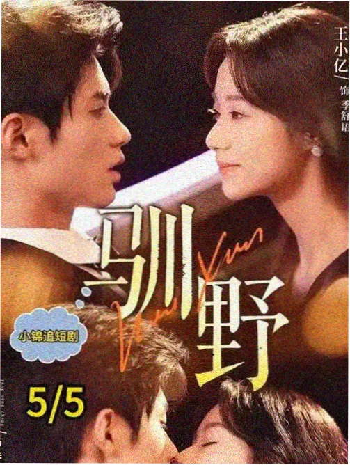 山海邮局 免费高清电视剧全集在线观看